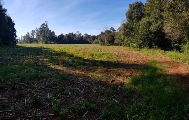 Área rural com 4 dormitórios