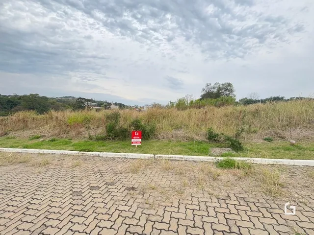 Paisagem de terreno com vegetação seca e pavimento no primeiro plano.