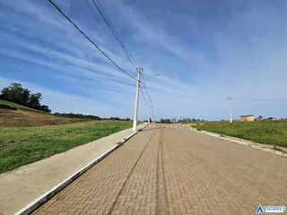 Terreno, foto 12