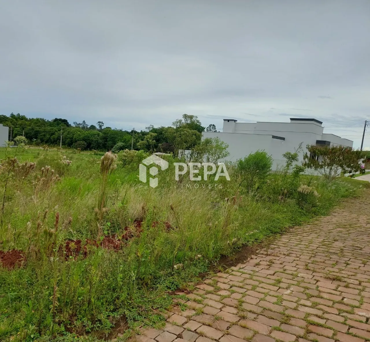 Terreno, foto 1