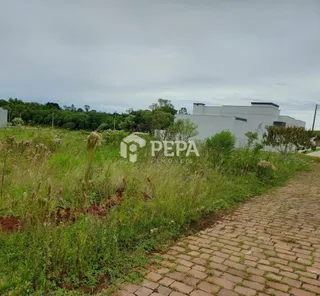 Terreno, foto 1