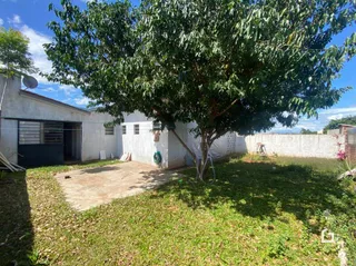Vista externa da propriedade com gramado e árvore na frente.