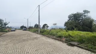 Vista de uma rua pavimentada com vegetação ao lado.