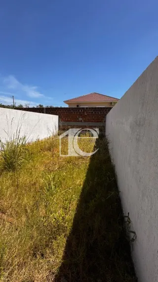 Casa geminada com 2 dormitórios, foto 6