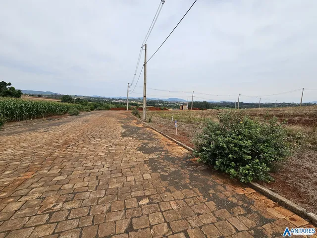 Terreno, foto 3