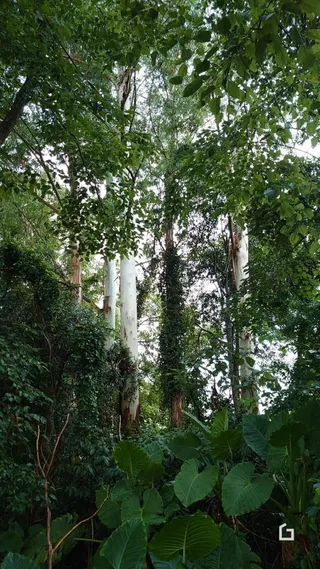 Terreno, foto 5