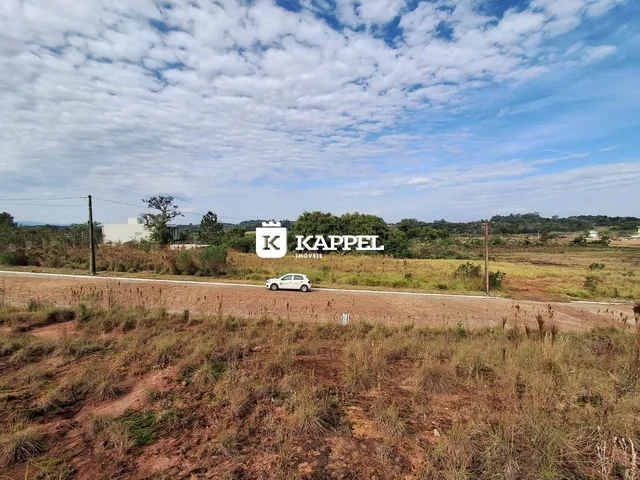Vista externa de uma área rural com vegetação seca e uma estrada de terra.