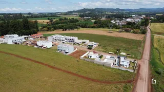 Campo gramado com estrada de terra em uma paisagem rural.