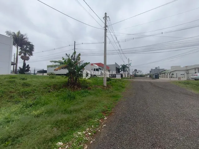 Terreno, foto 5