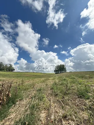 Área rural, foto 12
