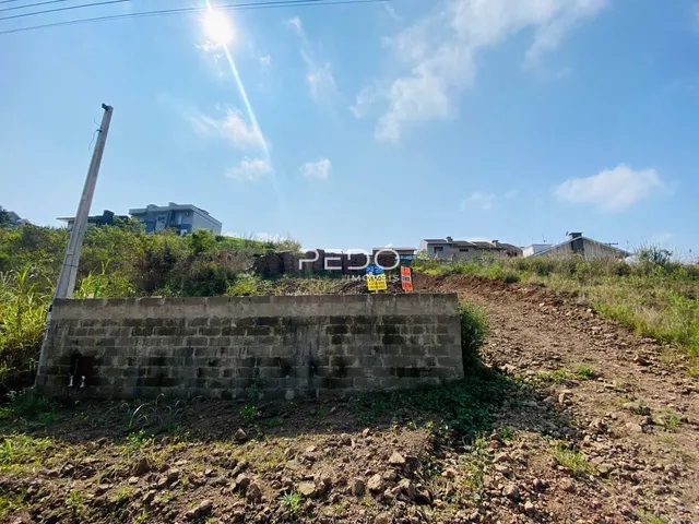 Terreno, foto 5