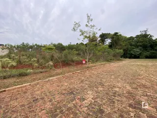 Terreno, foto 2