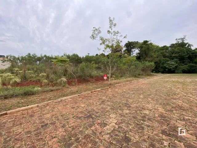 Terreno, foto 2