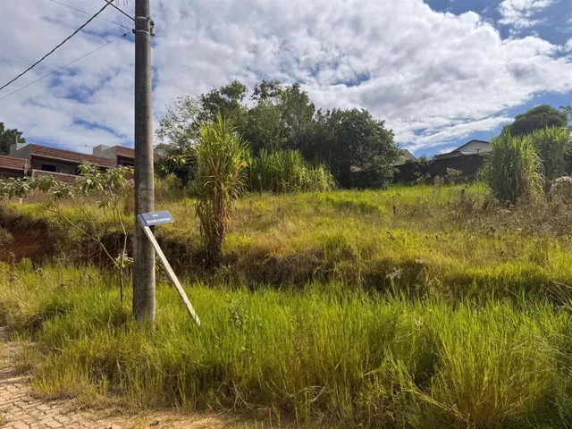 Terreno, foto 2
