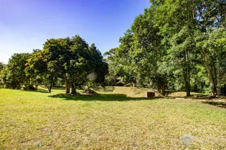 Área rural com 4 dormitórios, foto 40