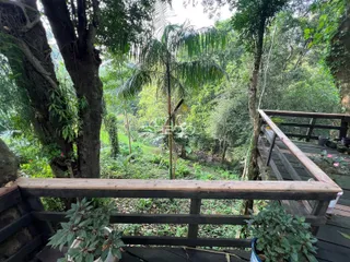 Vista da propriedade cercada por vegetação densa e árvores.