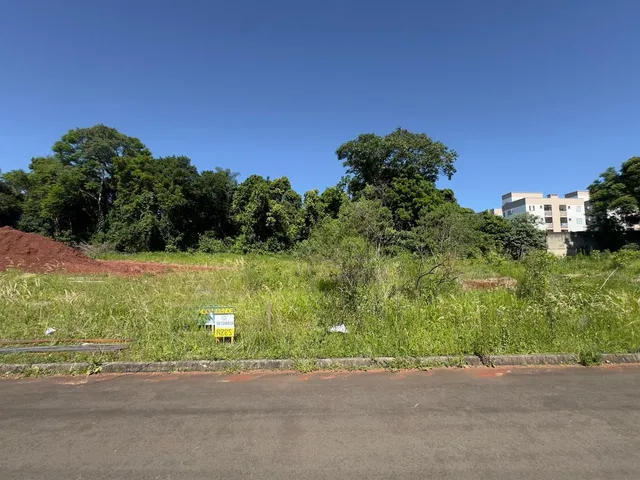 Terreno, foto 3