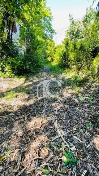 Terreno, foto 13