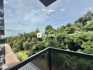 Vista panorâmica de vegetação densa e mata verde a partir de um terraço.