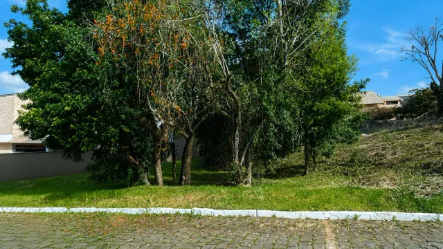 Terreno