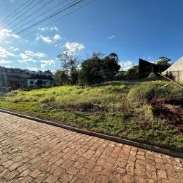 Vista externa de um caminho pavimentado com vegetação alta.