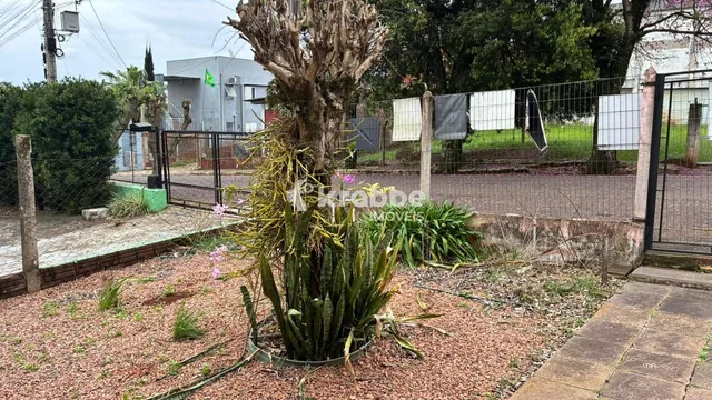 Casa, foto 4