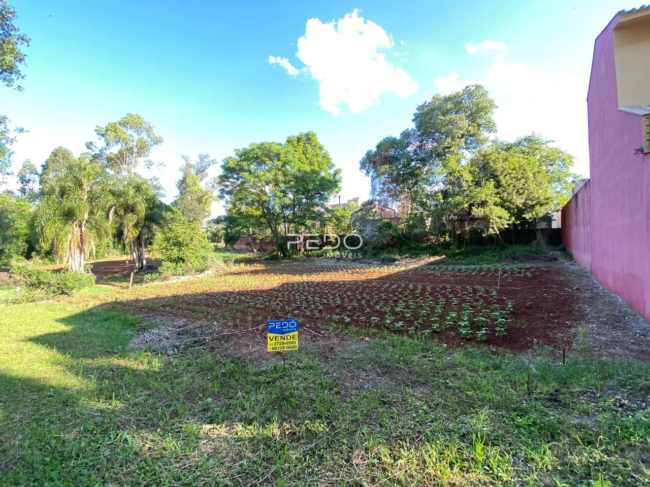 Terreno, foto 1