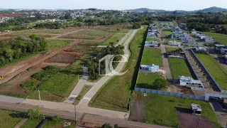Terreno, foto 3
