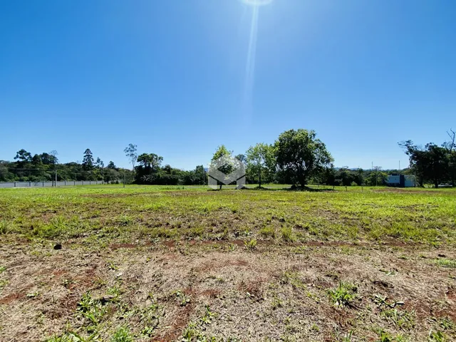 Campo aberto com vegetação e árvores ao fundo sob um céu azul.