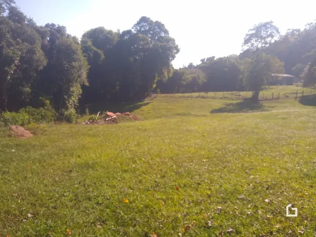 Campo gramado com vegetação densa ao fundo.