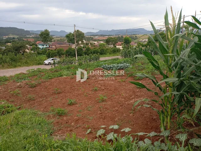 Terreno, foto 3
