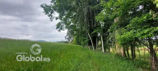 Paisagem de campo com árvores e grama verde sob um céu nublado.
