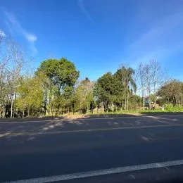 Área rural com 1 dormitório, foto 21