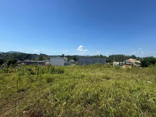 Paisagem externa com grama alta sob um céu azul claro.