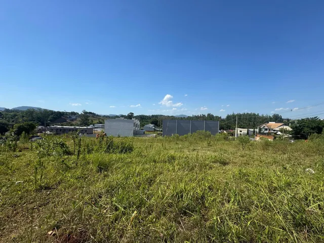 Paisagem externa com grama alta sob um céu azul claro.