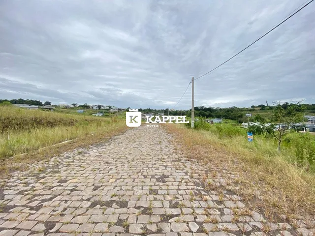 Uma estrada de paralelepípedos atravessa uma área de campo seco sob um céu nublado.