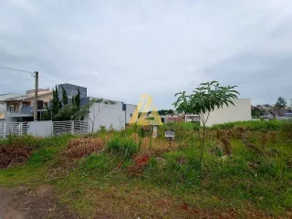 Terreno, foto 3
