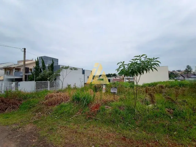 Terreno, foto 3
