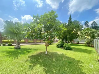 Área rural com 4 dormitórios, foto 19