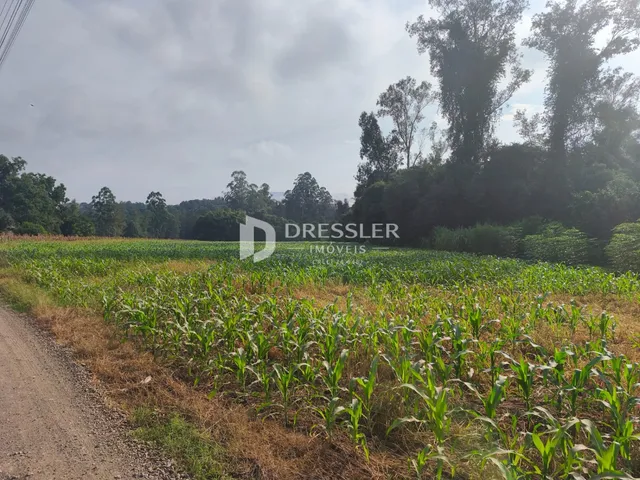 Área rural, foto 2