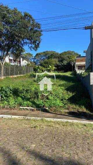 Terreno, foto 3