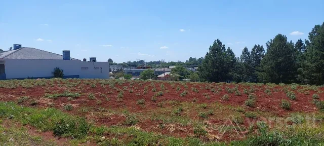 Terreno, foto 3