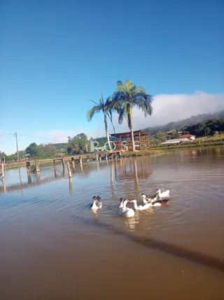 Área rural com 2 dormitórios, foto 6