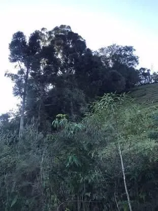 Imóvel, foto 4