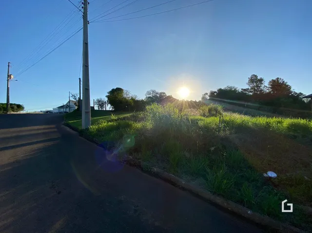Terreno