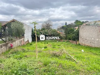 Vista externa de um terreno com vegetação alta e grama.