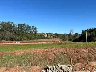Paisagem de campo com vegetação e terra no fundo sob um céu azul.