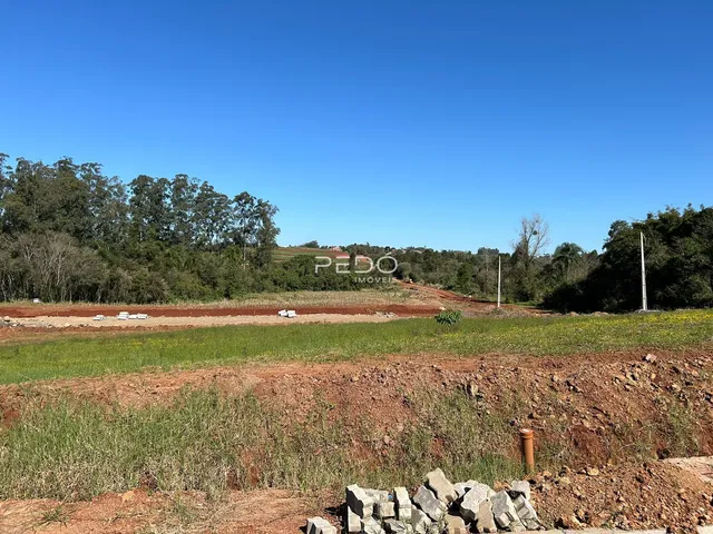 Paisagem de campo com vegetação e terra no fundo sob um céu azul.
