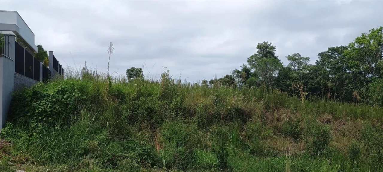 Terreno, foto 1