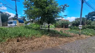 Terreno, foto 3